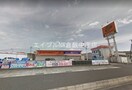 オートバックス笹沖店(電気量販店/ホームセンター)まで762m フレグランス松尾C