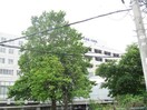一般財団法人太田綜合病院附属太田西ノ内病院(病院)まで716m 東北新幹線（東北地方）/郡山駅 バス10分太田西ノ内病院前下車:停歩5分 1階 築30年