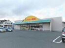 業務スーパーディスカ安積店(スーパー)まで1053m 東北新幹線（東北地方）/郡山駅 バス19分成山公園前下車:停歩4分 2階 築37年