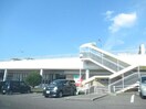 ヨークベニマル菜根店(スーパー)まで859m 東北新幹線（東北地方）/郡山駅 バス8分郡山東高校下車:停歩3分 1階 築41年