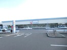 カワチ薬品富久山店(ドラッグストア)まで1036m パレス郡山