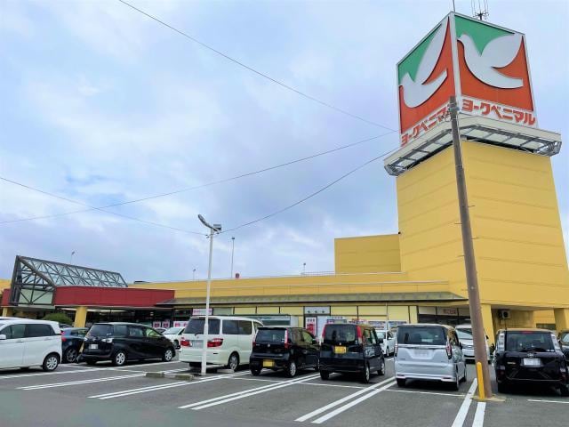 ヨークベニマル富久山店(スーパー)まで859m 磐越西線<森と水とロマンの鉄道>/郡山富田駅 徒歩23分 3階 築22年