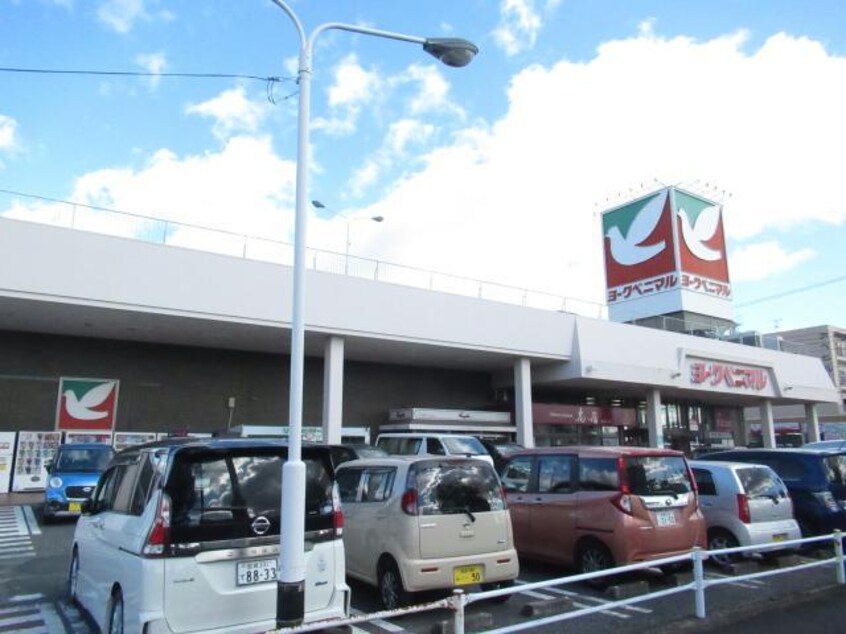 ヨークベニマル安積町店(スーパー)まで630m 東北本線/安積永盛駅 徒歩24分 2階 築35年