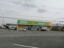 ドラッグ・エース松山町店(ドラッグストア)まで894m サニーコートカミヤ