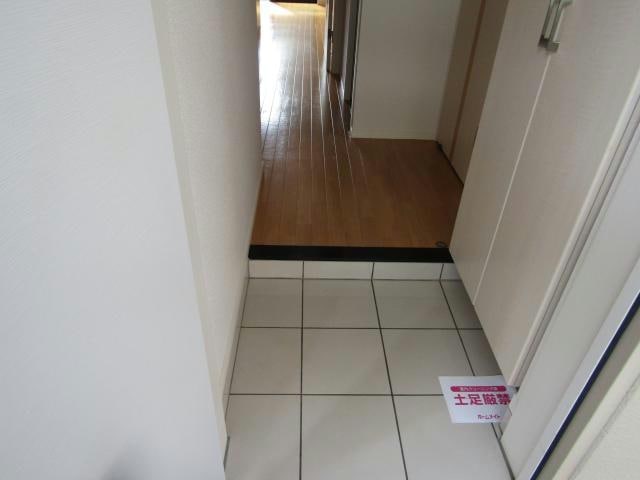 グレーシア