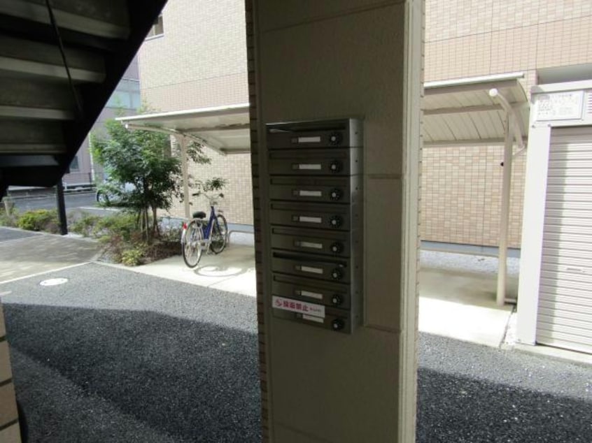  グレーシア