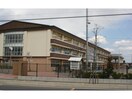 東松山市立高坂小学校(小学校)まで1330m ネオグランツⅠ・B