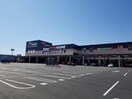 スーパービバホーム東松山モール店(電気量販店/ホームセンター)まで4009m ピオニー　サワグチ