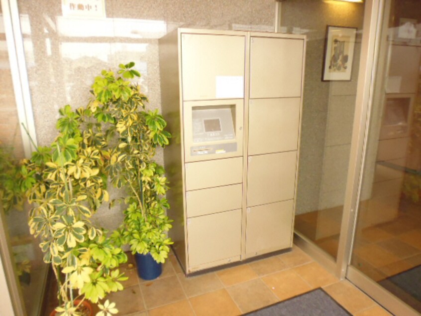  ルネス　カーサ    (東松山市箭弓町)