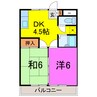 メゾンダム―ル 2DKの間取り