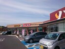 スギドラッグ東松山新宿町店(ドラッグストア)まで160m エルミタージュ　（新宿町22-2）