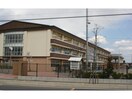 東松山市立高坂小学校(小学校)まで1507m ラッフィナート