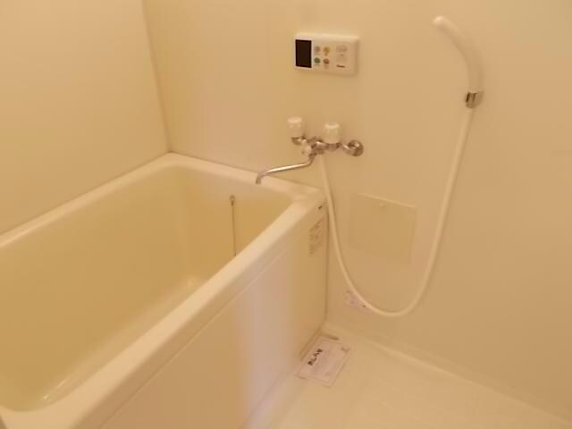  ふぉーらむしろかねⅠ