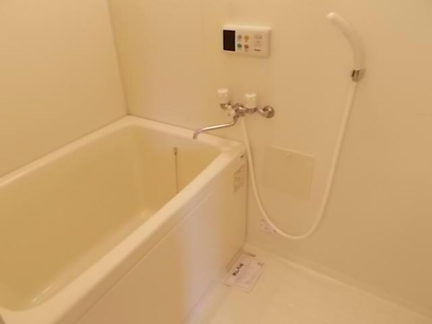  ふぉーらむしろかねⅠ