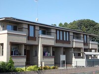 サザンクロス