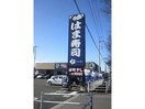 はま寿司東松山店(その他飲食（ファミレスなど）)まで618m サザンクロス