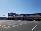 スーパービバホーム東松山モール店(電気量販店/ホームセンター)まで1484m アリエス