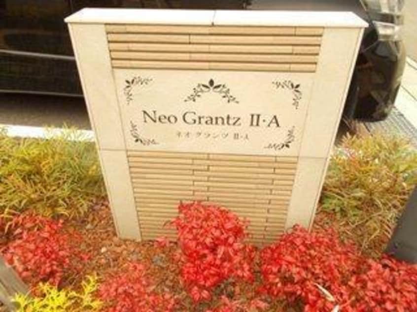  ネオグランツⅡA