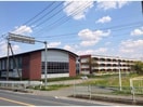 東松山市立南中学校(中学校/中等教育学校)まで1350m フェアリーガーデンＢ