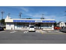 ローソン東松山小松原町店(コンビニ)まで273m プラチナ　マム