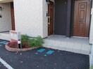  クリスタル　ティアラ　1-020780501