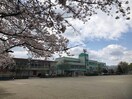 小川町立小川小学校(小学校)まで1400m パールハイツ