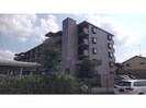 ラ・ネックス川越(川越埼玉県川越市大字小堤)の外観