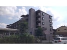 ラ・ネックス川越(川越埼玉県川越市大字小堤)の外観
