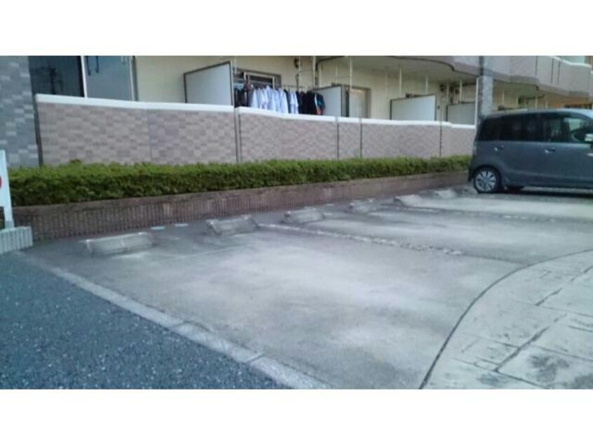  W・フォンターナ