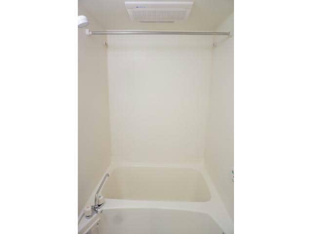  W・フォンターナ