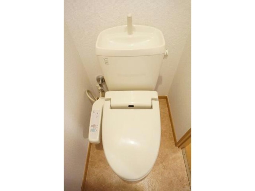  W・フォンターナ