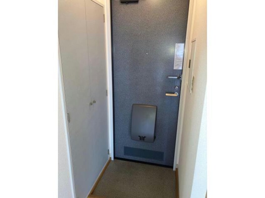  エスペランサⅡ