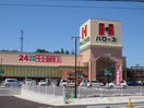 ハローズ(スーパー)まで220m サンライフマンション