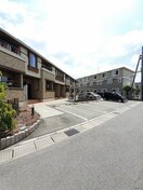  サンハーモニー　サクラ