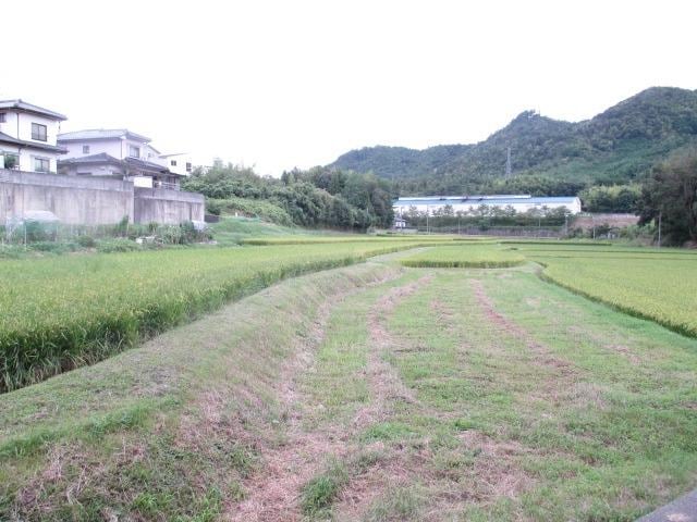 眺望 プルート
