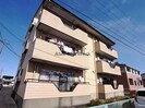 シティパレスBの外観