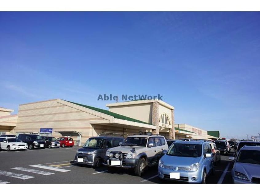 SUPER　CENTER　PLANT－6瑞穂店(電気量販店/ホームセンター)まで3120m ファミールヤマモト　Ａ