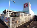 コメリハード＆グリーン穂積店(電気量販店/ホームセンター)まで1504m エポックハイムけんせい　Ｂ