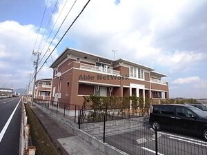 エレガンツァ　ビオラＢ