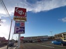 スギドラッグ揖斐大野店(ドラッグストア)まで1564m モデレート　