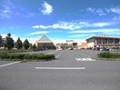 バローモレラ店(スーパー)まで857m エルーセラＯＨＮＯ