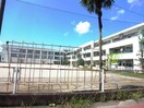 本巣市立本巣小学校(小学校)まで1819m ソレイユ