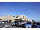SUPER　CENTER　PLANT－6瑞穂店(電気量販店/ホームセンター)まで602m ベルグラース・ミズホ