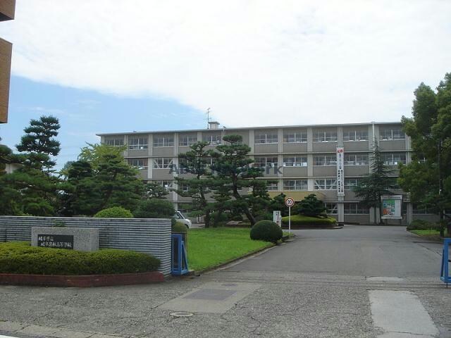 岐阜県立岐阜農林高校(高等学校/高等専門学校)まで1384m ガーデンプレイスＳＫ