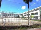 本巣市立本巣小学校(小学校)まで2421m clover house Ⅱ