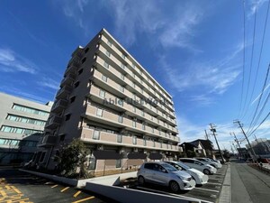 ジェスタ穂積