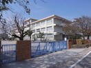 岐阜市立西郷小学校(小学校)まで363m 中西郷貸家