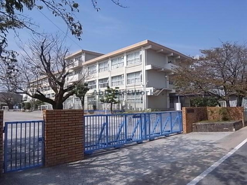 岐阜市立西郷小学校(小学校)まで363m 中西郷貸家