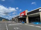 ホームセンターバロー北方店(電気量販店/ホームセンター)まで1434m ルミエールリバー　Ⅱ