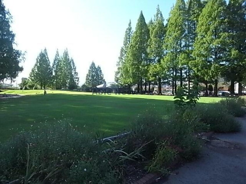 長良公園(公園)まで1490m 平和ビル